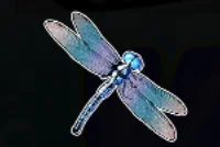 Dragonfly symbol