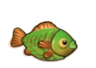 Money Fish symbol